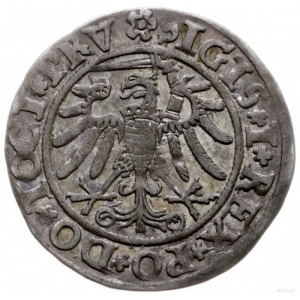 grosz 1534, Elbląg; końcówka napisu na awersie PRV; Kop...