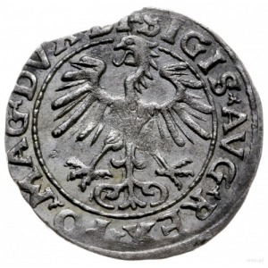 półgrosz 1554, Wilno; Cesnulis-Ivanauskas 4SA51-16 (RR)...