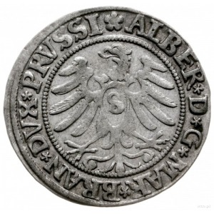 grosz 1532, Królewiec; rzadka odmiana z napisem PRVSSI;...