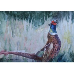 Alexander Franko, The Pheasant.