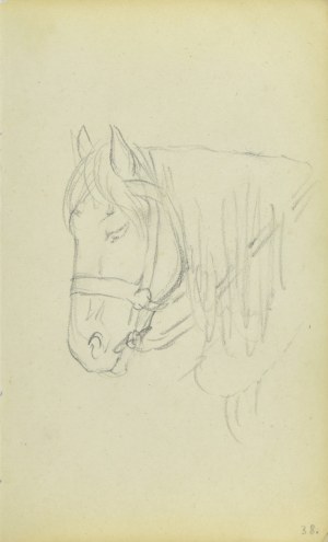 Jacek Malczewski (1854-1929), Łeb konia z uzdą ukazana z lewego boku