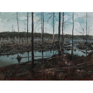 Veronica Bober, Mire