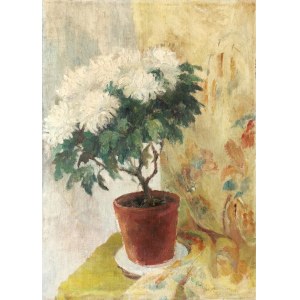 Malarz nieokreślony, XX w., Kwiaty w doniczce, 1937