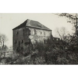 BORÓW POLSKI (pow. nowosolski). Ruiny zamku
