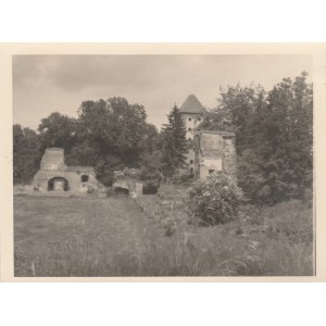 PRZEZMARK (pow. sztumski). Ruiny zamku – widok ogólny