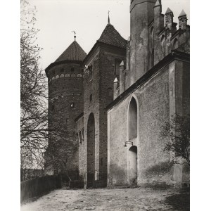 RESZEL (pow. kętrzyński). Zamek – widok fragmentu w kierunku północnym