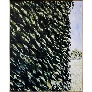 Jacek Barszcz, Motif from Petit Jean.