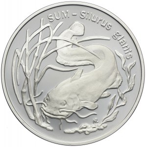 20 złotych 1995, Sum