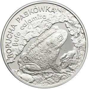 20 złotych 1998, Ropucha Paskówka