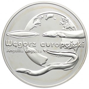 20 złotych 2003, Węgorz Europejski
