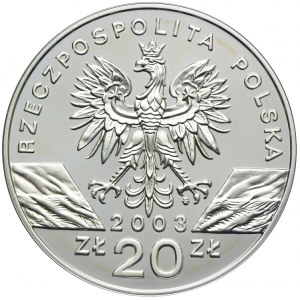 20 złotych 2003, Węgorz Europejski
