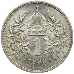 Austria, Franciszek Józef I, 1 korona 1899, Wiedeń
