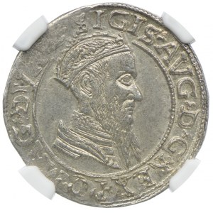 Zygmunt II August, czworak 1567, Wilno, NGC MS62
