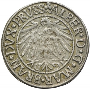 Prusy Książęce, Albert Hohenzollern, grosz 1542, Królewiec