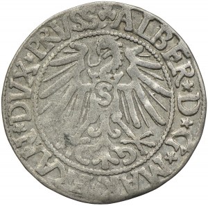 Prusy Książęce, Albert Hohenzollern, grosz 1545, Królewiec