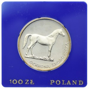 100 złotych 1981, Koń