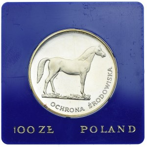 100 złotych 1981, Koń