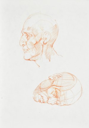 Dariusz Kaleta Dariuss (Ur. 1960), Szkice głowy z prawego i lewego profilu