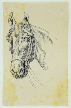 Tadeusz Rybkowski (1848-1926), Szkic głowy konia