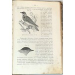 SCHOEDLER- KSIĘGA PRZYRODY t.2 wyd. 1867