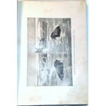 NANSEN - WŚRÓD LODÓW I NOCY t.1-2 (komplet w 2 wol.) wyd.1898