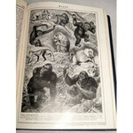 ILUSTROWANA ENCYKLOPEDIA TRZASKI, EVERTA I MICHALSKIEGO t.I-V (komplet)