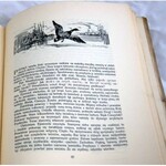 KRZYWOSZEWSKI - Z PRZEŻYĆ I WRAŻEŃ MYŚLIWSKICH wyd. 1927r. z 24 rysunkami MACKIEWICZA