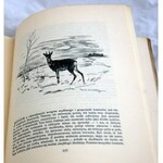 KRZYWOSZEWSKI - Z PRZEŻYĆ I WRAŻEŃ MYŚLIWSKICH wyd. 1927r. z 24 rysunkami MACKIEWICZA