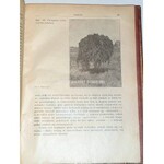 MAKOWIECKI - DRZEWA I KRZEWY OZDOBNE wyd. 1937