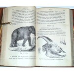 SKŁODOWSKI - WYKŁAD ZOOLOGJI wyd. 1861 drzeworyty