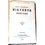 WISZNIEWSKI -  HISTORYA LITERATURY POLSKIEJ t. 1-10 w 9 wol. [komplet]