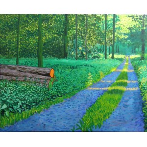 Blazej Tomczak, Forest Road, 2020
