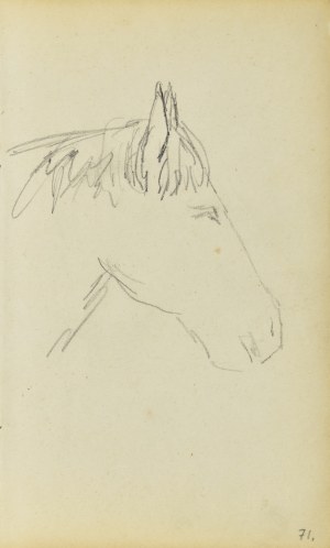 Jacek Malczewski (1854-1929), Głowa konia ujęta z prawego boku