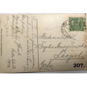 Pocztówka z 1924r. przedstawiająca statek s/s Baron Gautsch