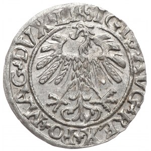 Zygmunt II August, półgrosz 1559, Wilno, LI/LITVA
