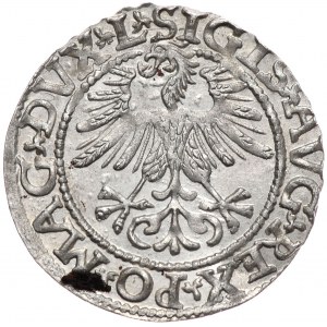Zygmunt II August, półgrosz 1561, Wilno, L/LITV