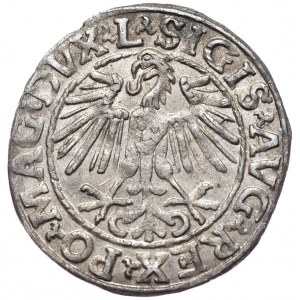 Zygmunt II August, półgrosz 1548, Wilno, L/LITVA, arabska cyfra 1 w dacie