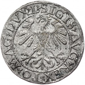 Zygmunt II August, półgrosz 1560, Wilno, L/LITV
