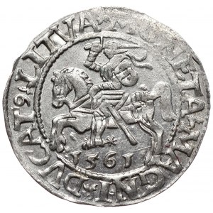 Zygmunt II August, półgrosz 1561, Wilno, L/LITVA