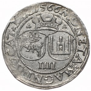 Zygmunt II August, czworak 1566, Wilno, L/LIT