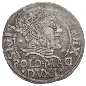 Zygmunt II August, grosz na stopę polską 1547, Wilno, L/LITVA