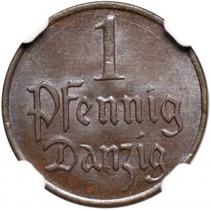 1 fenig 1923