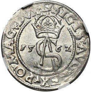 Zygmunt II August, trojak 1562 Wilno, L/LI