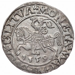 Zygmunt II August, półgrosz 1559, Wilno, L/LITVA