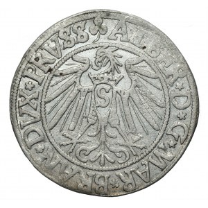 Prusy Książęce - Albrecht Hohenzollern (1525-1568) - Grosz 1541 Królewiec
