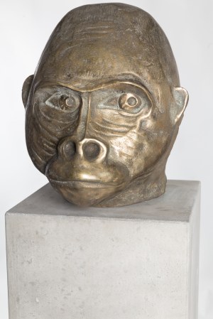 Adam Spała (ur.1956), Małpa niemiecka, 2015-2018