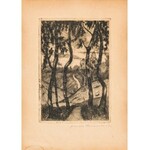 Korzeniowska Wanda, Pejzaż z drzewami, ok. 1913