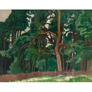 Stanisław Czajkowski (1878 Warszawa - 1954 Sandomierz), Pejzaż z drzewami