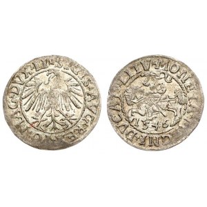 Lithuania 1/2 Grosz 1546 Vilnius. Sigismund II Augustus (1545-1572) - Lithuanian coins; 1/2 grosz 1546; Vilnius...
