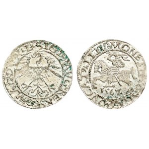 Lithuania 1/2 Grosz 1562 Vilnius. Sigismund II Augustus (1545-1572) - Lithuanian coins 1562 Vilnius...